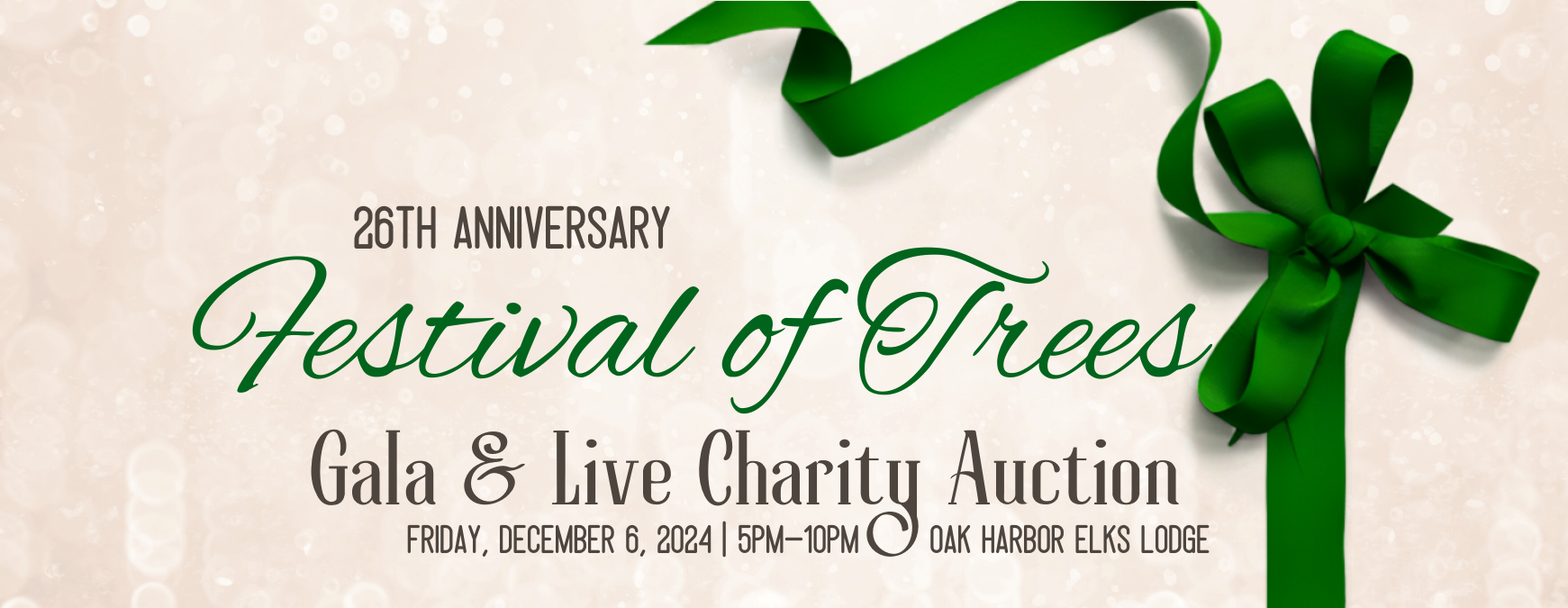 BBBS of Island County Festival of Trees Gala 2024